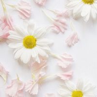 50代60代女性限定🌸いろいろあるよね…