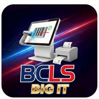 IT BIGCAMERA