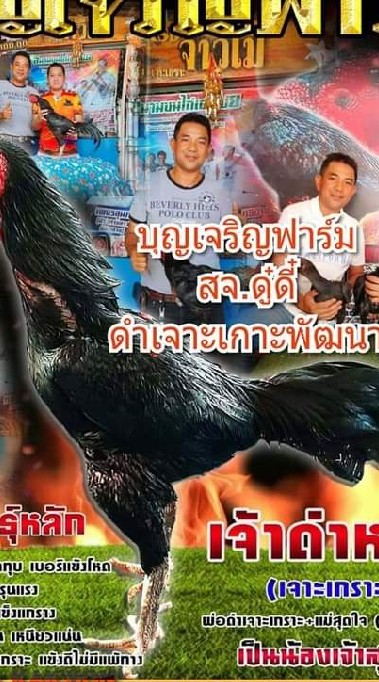 บุญเจริญฟาร์ม