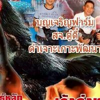 บุญเจริญฟาร์ม