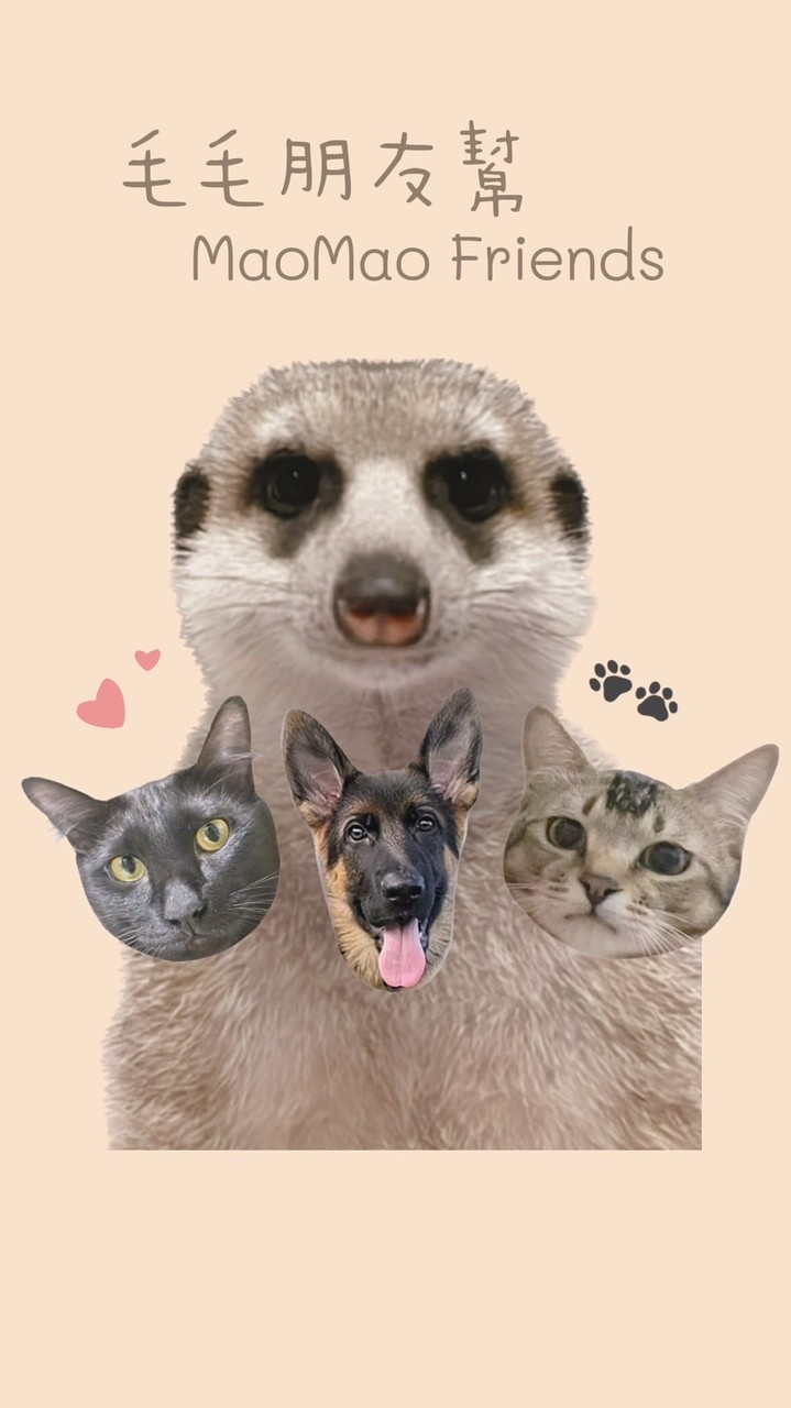 🐾毛毛朋友幫ᴍᴀᴏᴍᴀᴏ ꜰʀɪᴇɴᴅꜱ🤎🖤