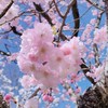新！高1限定！恋愛相談所+雑談☆