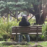 Asia/Australia Accessibl traveler台灣亞澳洲無障礙自由行楸團
