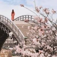 【18】成長の道研究会
