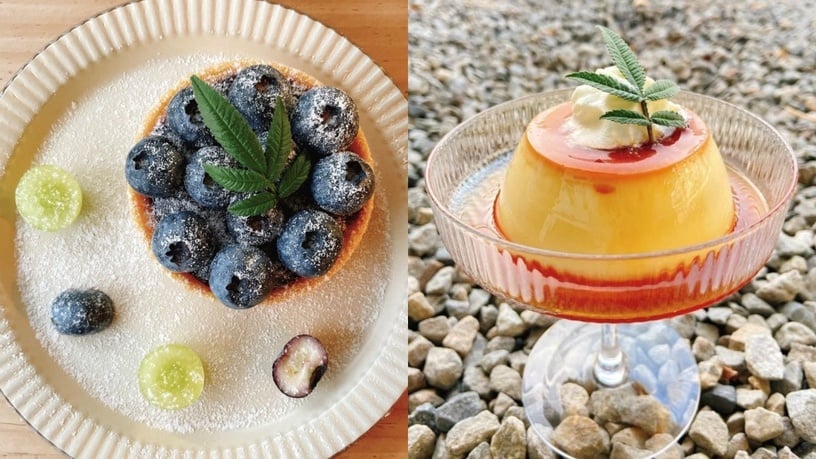 苗栗咖啡廳推薦10：David House