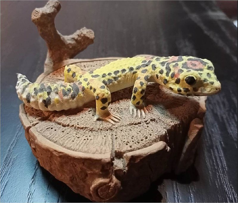 【純手工陶瓷】豹紋守宮名片座