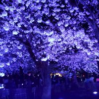 三重県の人全員集合