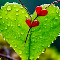 大人の恋バナ🌈ᵕ̈*雑談しましょー