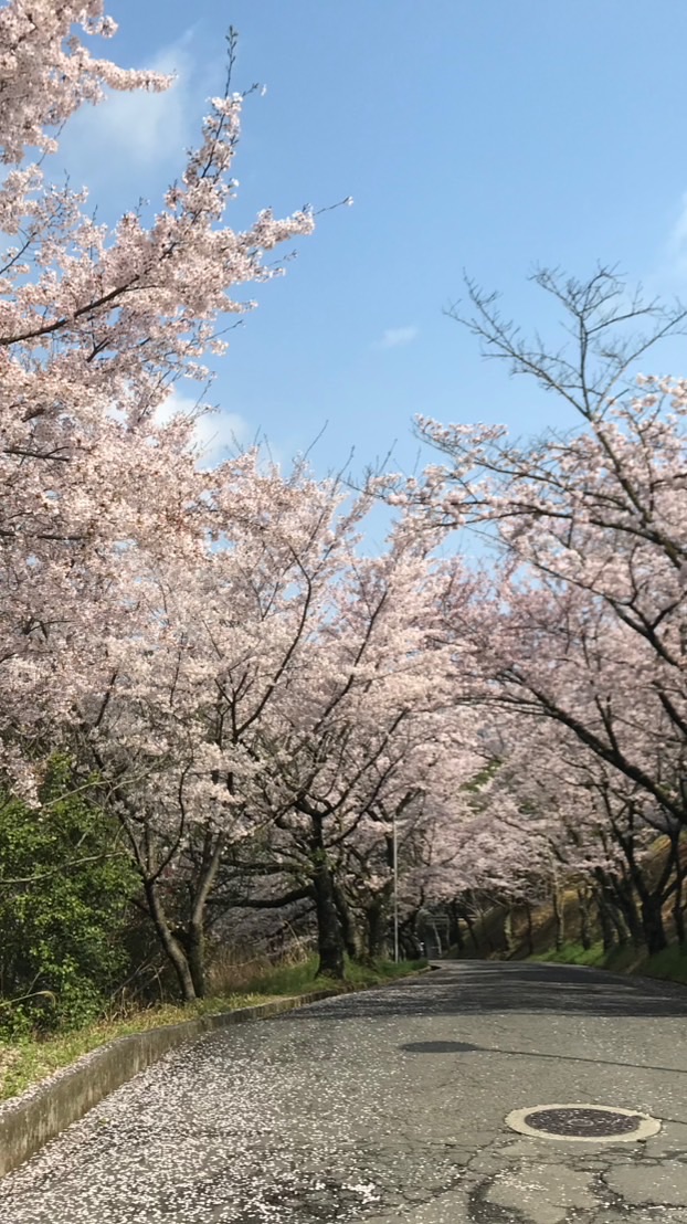 学生サポーター(福山大学心理学科)