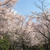 学生サポーター(福山大学心理学科)