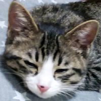 東京で未経験からITエンジニア！