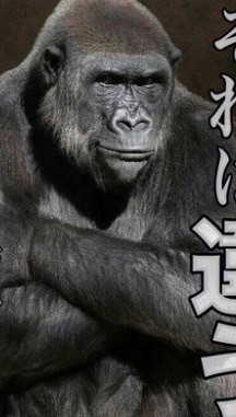 ゴリラを愛するものの集い