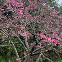 第3地区滋賀県助産師会