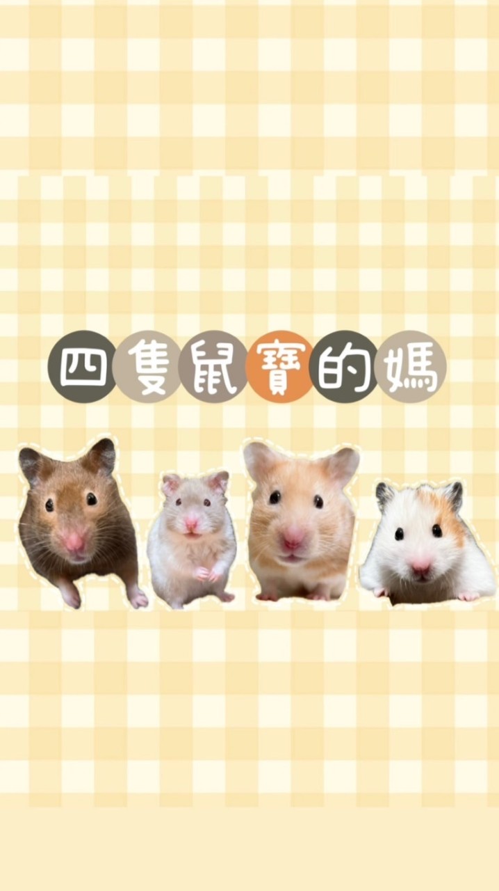 🐹🐹四隻鼠寶的媽🐹🐹