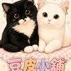 豆皮小舖Dopi Shop🛍️