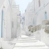 雪男 白総受け