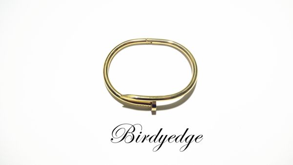 BIRDYEDGE 鋼鈦 不退色 釘子 非HM 低等 高品質貨品 手環 精品