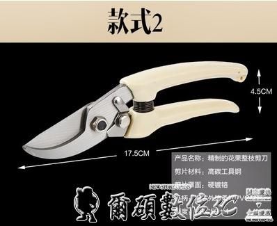 時尚新品，等你來選。