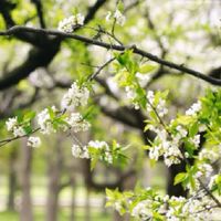 前立腺がん患者コミュニティ