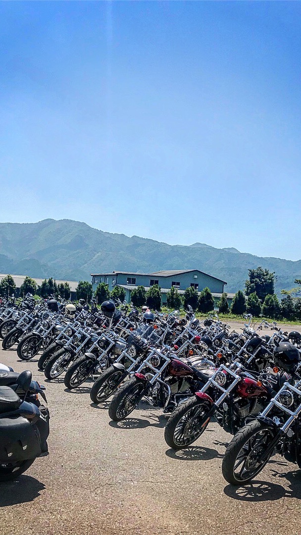 HARLEY-DAVIDSON BREAK OUT