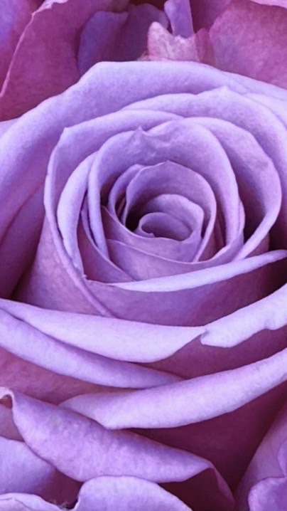 開運happiness24サロン