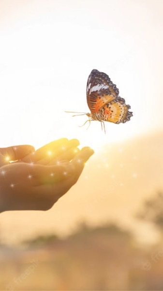 30+40🫶一同到柒拾🫶