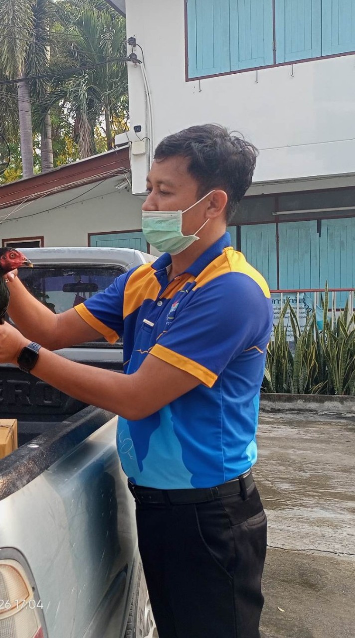 หมอเชาว์ไก่ชนมิตรภาพ