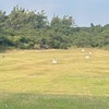 觀音湖Golf練習場
