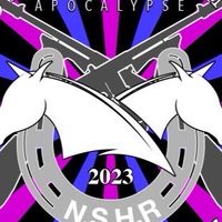 NS競馬黙示録　11月度月額オプチャ🐴