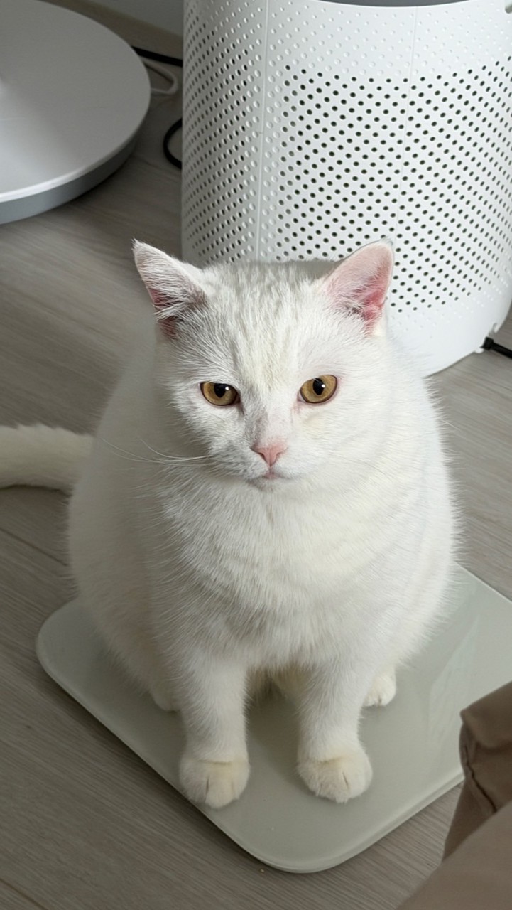 Carol mama碎碎念社群