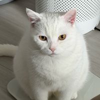 Carol mama碎碎念社群