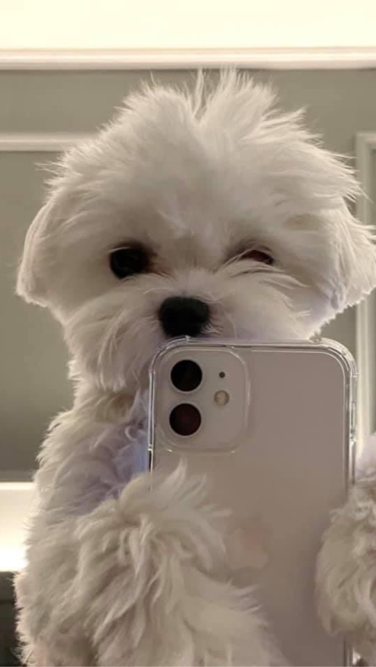 OpenChat ‎˭  ̟ 🥽 ˓ ตัวแทน יִ bto  ˒ ₌ ˚ 𑁦