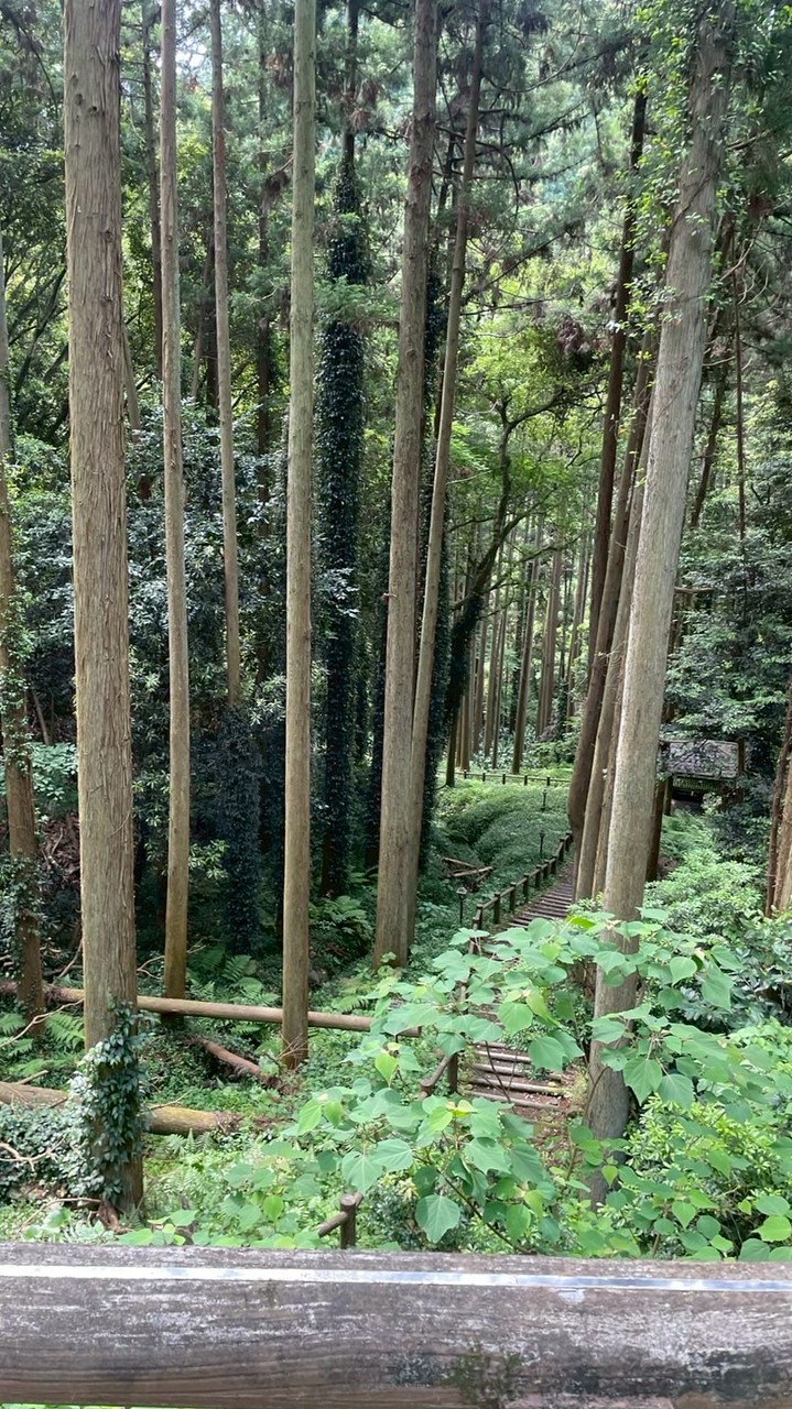 エノキヅの部屋