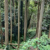 エノキヅの部屋
