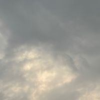 114中興大學新生群