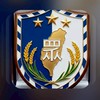 (台灣)(民眾黨)(People's Party) (青年團)(Youth) (League)