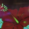 🌺ハナハナ🌺雑談オカルト、攻略、他