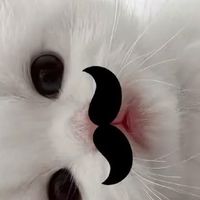 คุยไปเรื่อย