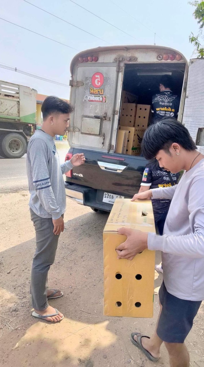 ซุ้ม เพชร บ้านนาฟาร์ม