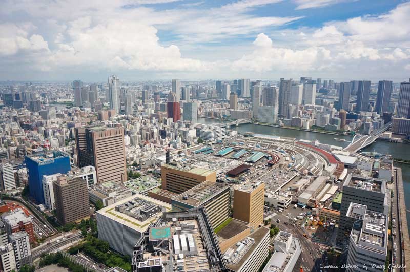 caretta-shidome, 東京景點, 汐留, 烏龜大樓, 烏龜汐留, 汐留夜景, 汐留觀景台, 東京夜景, 無料夜景, 無料觀景台