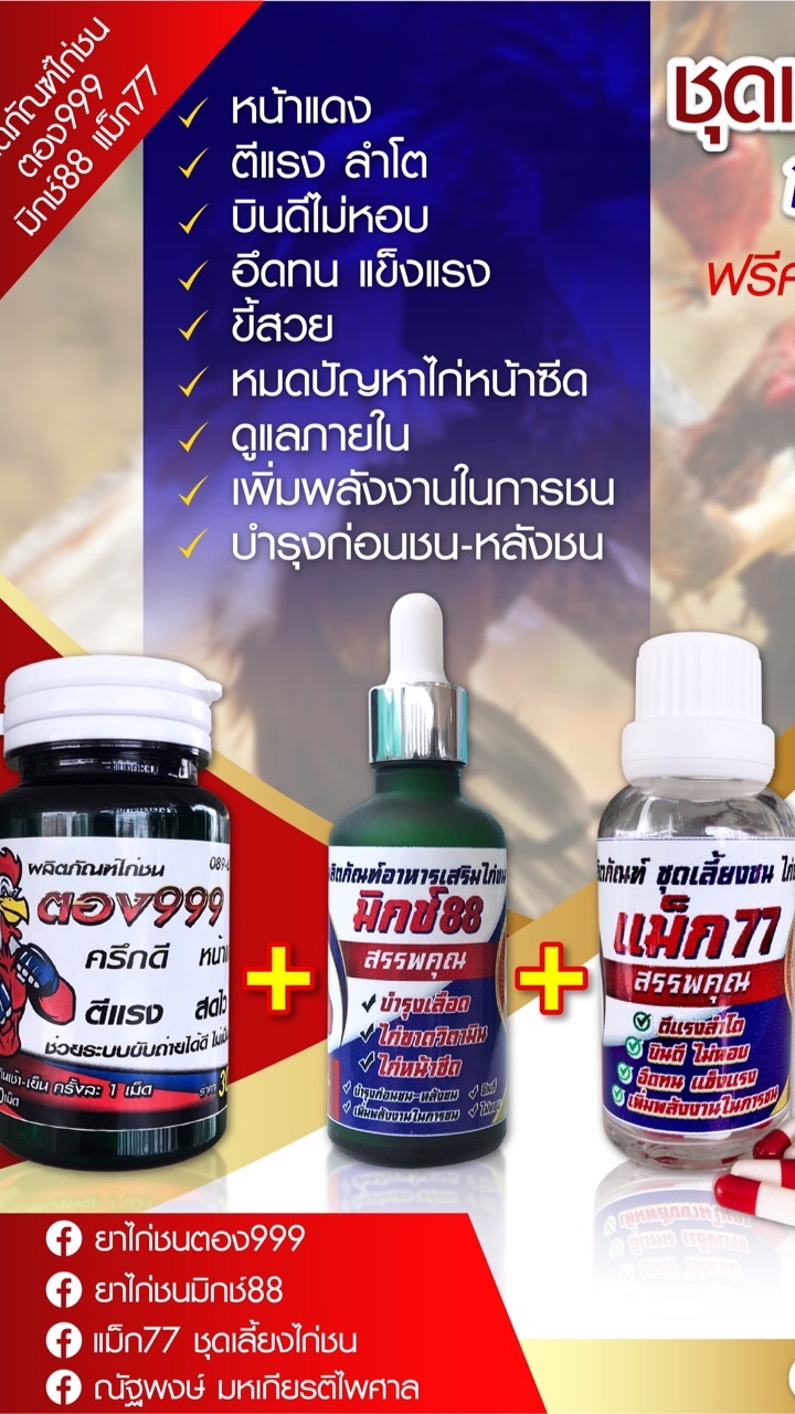 ชุดเลี้ยงไก่ออกชน ซุปเปอร์987