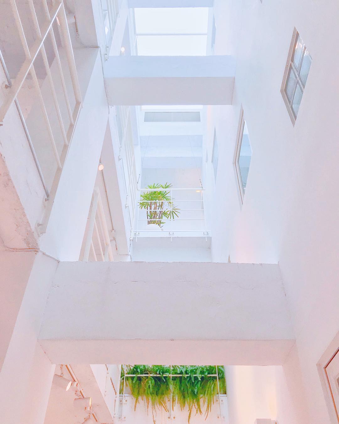 夾腳拖的家長安 @zora Taiwan3