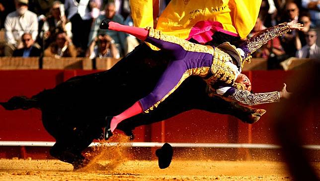 Cuma Fotografer Handal & Beruntung yang Bisa Dapat 12 Foto Keren Ini!