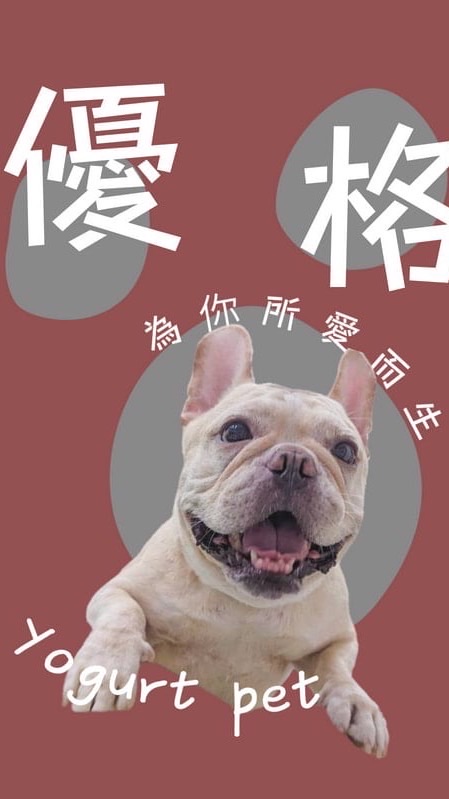 優格家寵物選品