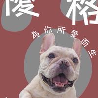 優格家寵物選品
