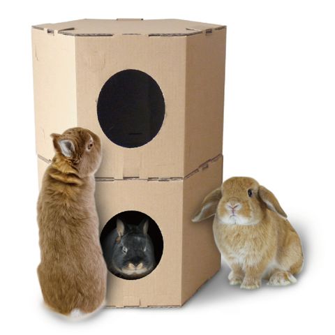 うさぎのしっぽ Line Official Account