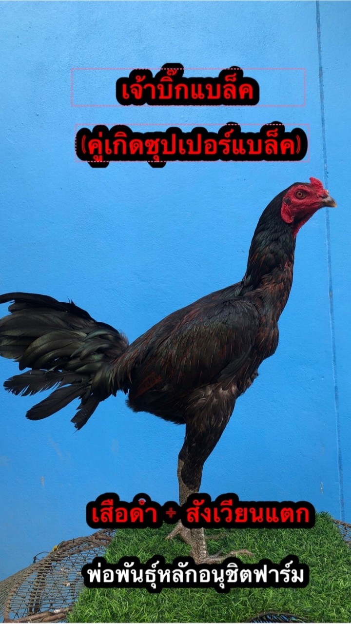 อนุชิตฟาร์ม