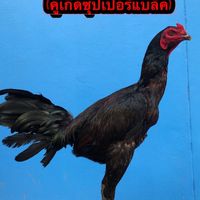 อนุชิตฟาร์ม