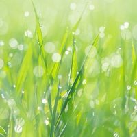 ❤️遇見療癒❤️澳洲花晶療癒｜顱薦椎｜身體平衡｜保養保健批發｜生命靈數｜論碼諮詢｜心幸福美學工作坊