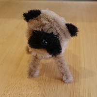 パグぱぐ▼•φ•▼　癒シニアの会